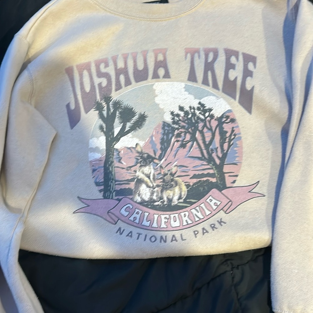 Small Cream color Forever 21 Joshua Tree logo, picture Sweatshirt
